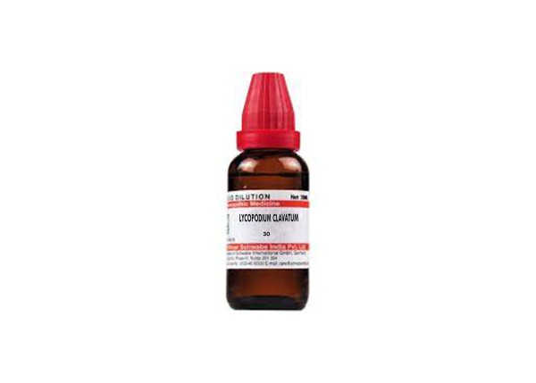 LYCOPODIUM CLAVATUM
